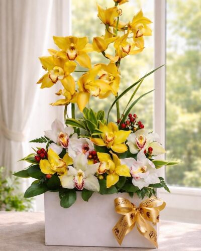 ORQUIDEAS CHIC