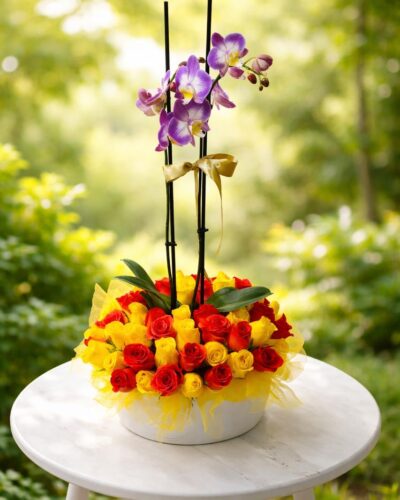 ORQUÍDEA IMPERIAL